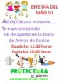 /album/actividades/dia-del-ni-jpg/